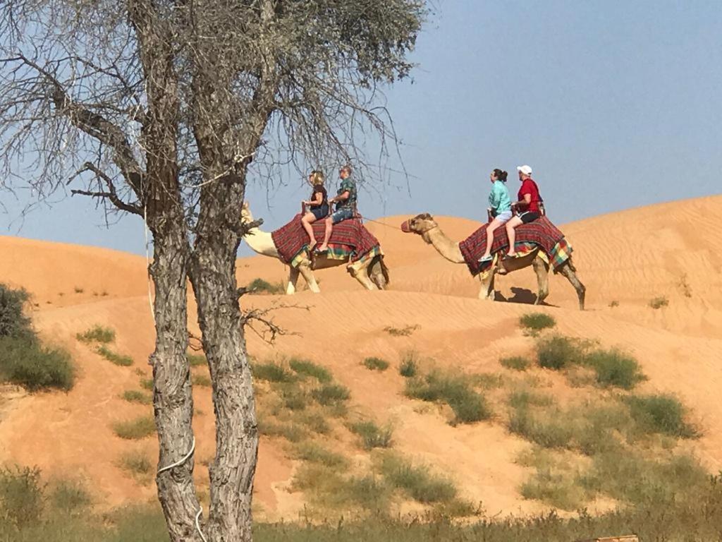 The Dunes & Safari Rak Кемпінг Рас-ель-Хайма